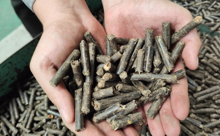 生物质颗；；；；；；；；庸さ目帕Ｈ剂舷非肽矗